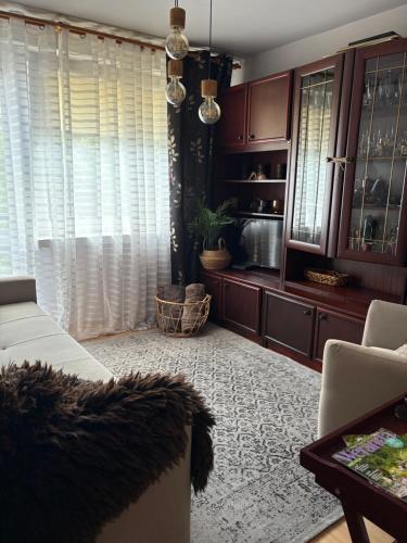 a living room with a couch and a window at Przytulny Apartament in Ostrowiec Świętokrzyski