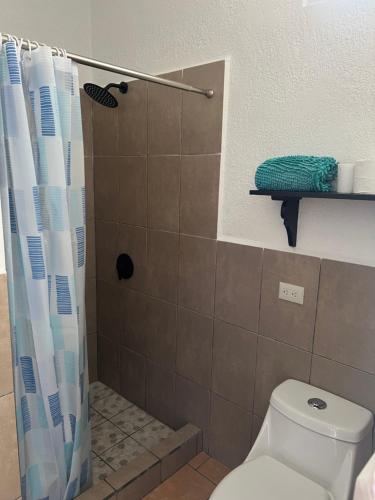 a bathroom with a shower with a white toilet at Casita Laguna Ocubila 
