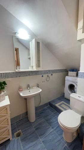 a bathroom with a sink and a toilet and a washing machine at Lena's House Kriopigi in Kriopigi