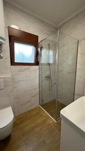 a bathroom with a shower and a toilet at Apartmani Milos - Meljine in Herceg-Novi