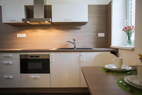 a kitchen with a sink and a stove at Villa Irene in Trenčianske Teplice