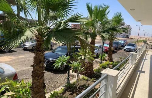 a group of palm trees in a parking lot at Elegant Stay in Hurghada
