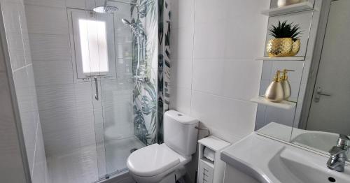 une salle de bain avec une douche, des toilettes et un lavabo dans l'établissement Les Suites de la Bastide, à Carcassonne