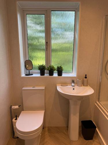 Ένα μπάνιο στο Waterside House