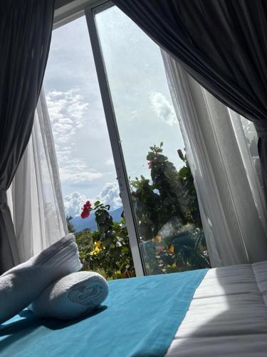 a bedroom with a large window with a view at Hotel Santa Lucia in Socorro