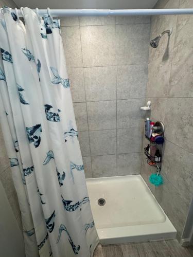 a bathroom with a shower with a shower curtain at Emperors Pool House in Jacksonville
