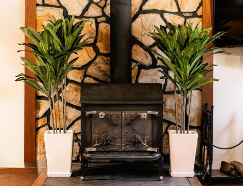 two plants in white vases next to a fireplace at Lewis Ave Lodge in Tahoma