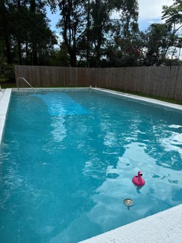 a swimming pool with a pink rubber duck in the water at Emperors Pool House in Jacksonville