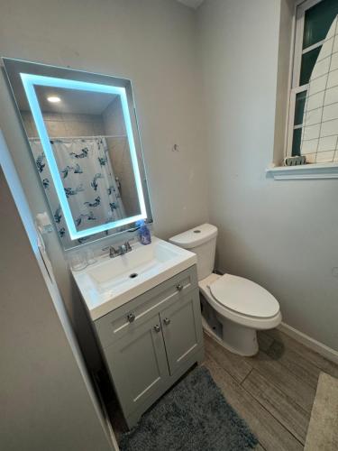 a bathroom with a toilet and a sink and a mirror at Emperors Pool House in Jacksonville