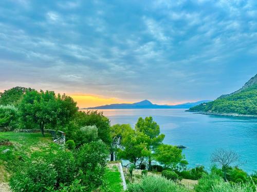 - une vue sur une grande étendue d'eau avec des arbres dans l'établissement Villa with Breathtaking Sea View, à Maratea