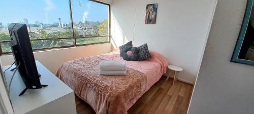 a bedroom with a bed and a tv and a window at Rbkº Acogedor depto cercano a Playa Amarilla in Concón