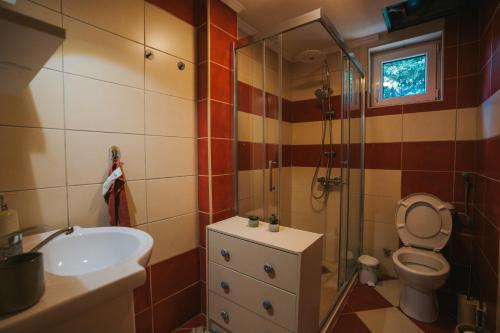 a bathroom with a shower and a sink and a toilet at Dolce Luxury Villa in Nižepole