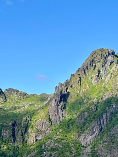 a mountain with green grass and a blue sky at Mountain and Sea View Svolvær in Svolvær