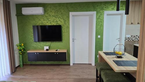 a living room with a television on a green wall at Apartman Tanja in Nova Varoš