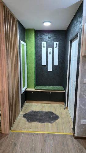 a room with a green and black wall with a rug at Apartman Tanja in Nova Varoš