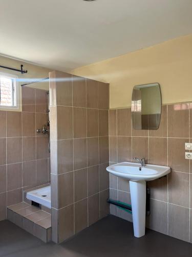 a bathroom with a sink and a shower and a tub at Appartement Antananarivo - Palais de la Reine, Rova in Mandriankeniheny