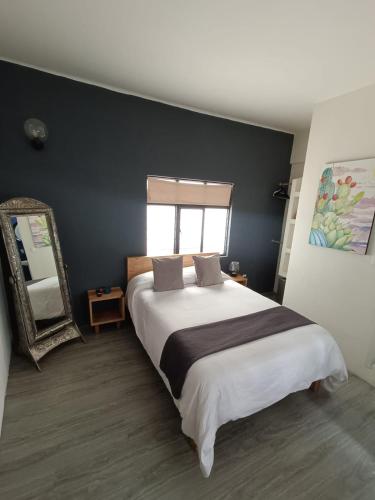 a bedroom with a large bed and a mirror at HERMILA Tlalpan in Mexico City