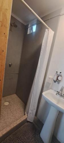 a bathroom with a shower and a sink at HERMILA Tlalpan in Mexico City