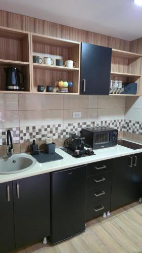 a kitchen with a sink and a counter top at Apartman Tanja in Nova Varoš