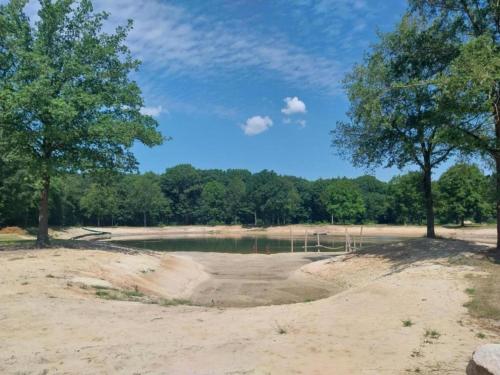 a pond with trees in the middle of a field at Chalet in Dutch Park with Garden and Terrace in Hoogersmilde