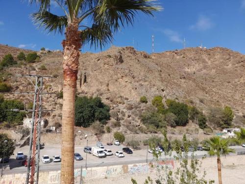 a palm tree in front of a parking lot at Mountain Getaway in Laroya in Laroya