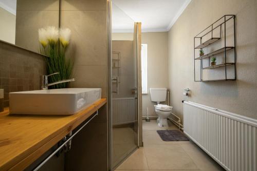 a bathroom with a sink and a toilet at Ferienwohnung an der Müritz in Rechlin