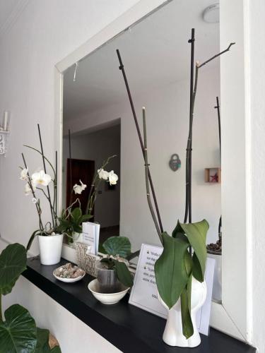 Imagen de la galería de Mabel Rooms, en Durrës