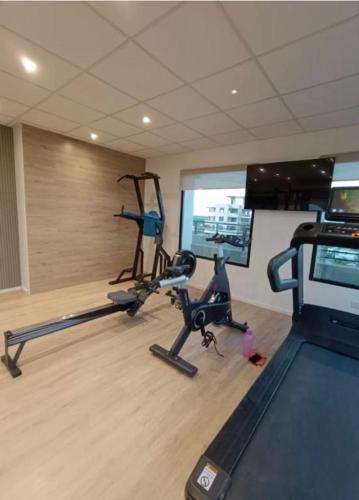 a gym with two exercise bikes and a treadmill at luxury Brickell Towers in Tigre