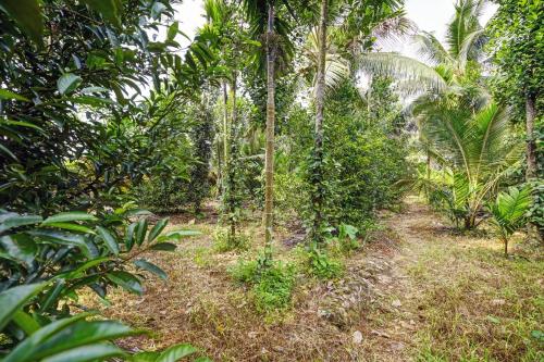 Gallery image of SPOT ON Shalom Palace Residency in Neriyamangalam