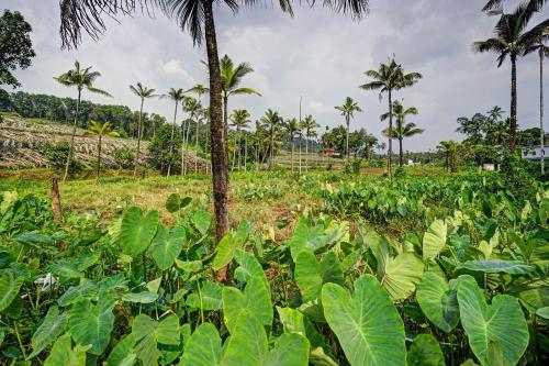 Gallery image of SPOT ON Shalom Palace Residency in Neriyamangalam