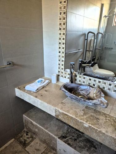 a bathroom with a cat laying on a counter at Hotel Boutique Refugio El Molle in El Molle