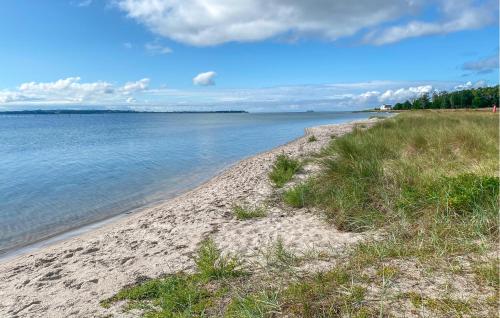 a sandy beach with grass and the water at Lovely Home In Egå With Wifi in Egå