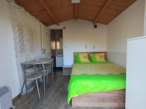 a bedroom with a green bed and a table at CASUTA La Amy in Pangarati