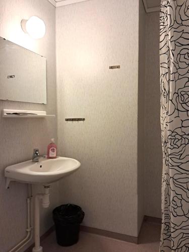 a bathroom with a sink and a shower curtain at Furudals Bruk in Furudals Bruk