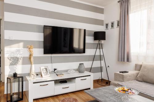 a living room with a tv on a striped wall at Apartman Marina in Belgrade