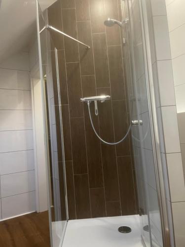 a shower with a glass door in a bathroom at Apartament an der Landgestüt in Warendorf