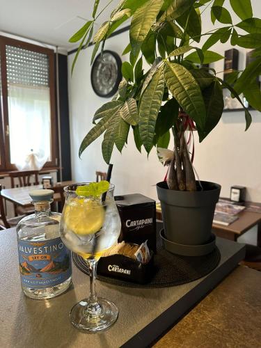 a table with a drink and a plant on it at Vesta in Gargnano