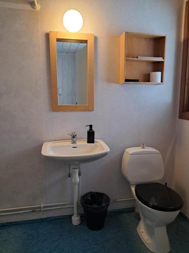 a bathroom with a sink and a toilet and a mirror at Furudals Bruk in Furudals Bruk