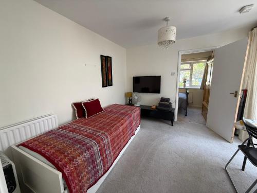 a bedroom with a bed and a television in it at Cosy Apartment with Private Access and Kitchenette in Guildford in Worplesdon