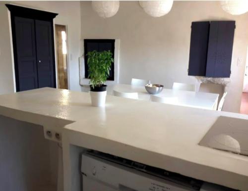 - un comptoir de cuisine avec une plante en pot dans l'établissement Maison d exception au coeur de Goult avec piscine privée et vue panoramique, à Goult