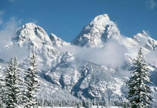 a snow covered mountain with trees in front of it at Aspen Serenity - Hiking - in the Teton Valley in Driggs