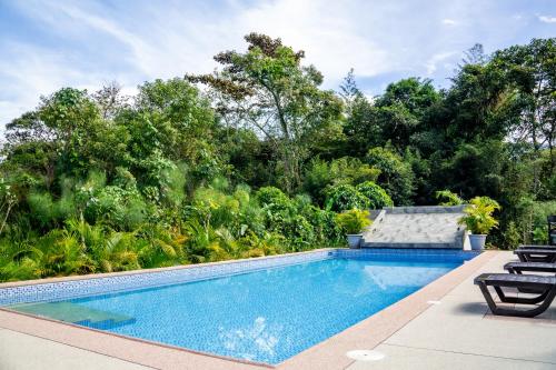 a swimming pool with two lounge chairs and trees at Royal River Suites & Spa Aparthotel in Mindo