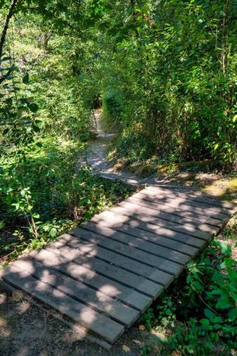 a wooden path in the middle of a forest at Forest Studio Oasis - Mile from Multnomah Village in Portland