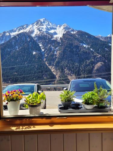 Gallery image of Appartamento Vacanza 2 locali in Quinto