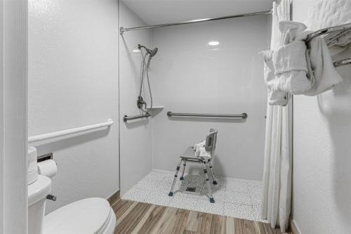 a bathroom with a toilet and a walk in shower at Best Western Canton Inn in Canton