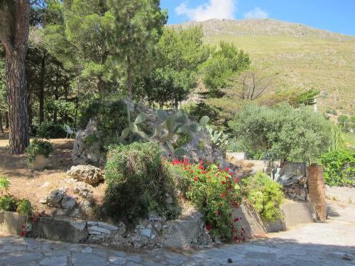 a garden with a bunch of plants and flowers at Palms Villa in Scopello