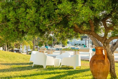 a table and chairs under a tree with a vase at Boomerang Village in Torre Colimena