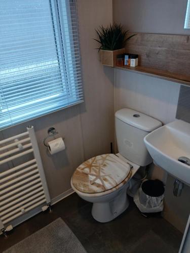 a bathroom with a toilet and a sink at Serenity - Luxury Hot Tub, Sunnymede, Fantasy Island, , Ramped Access, Parking, Dog Friendly in Ingoldmells