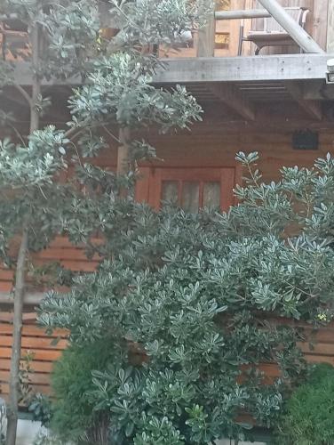 Giardino di La Maison des Fous