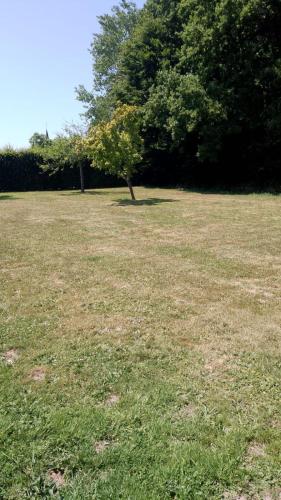 a field with a tree in the middle of it at Maison Normande - Le Mesnil en Ouche in Épinay